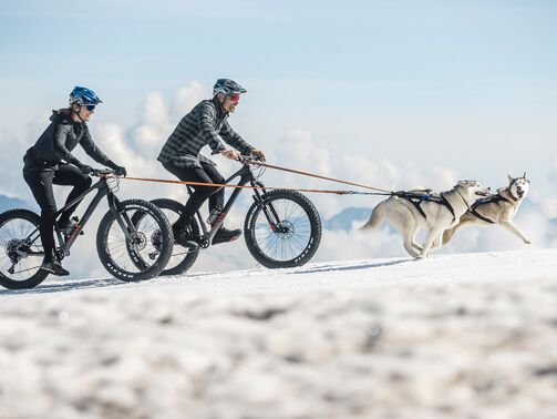 The Dude, the husky, and the mountains