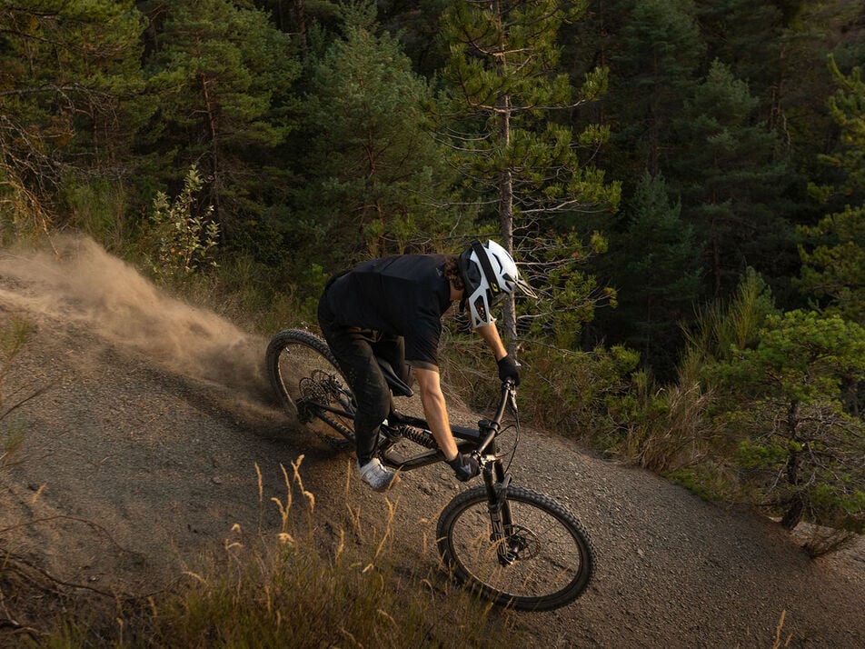 Canyon Torque Mullet