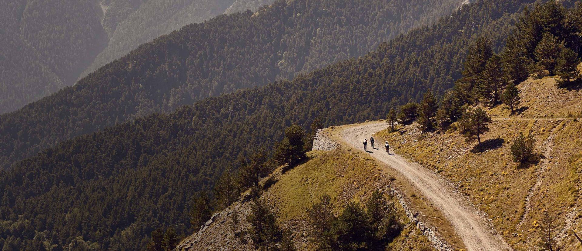 Canyon Gravel Bikes